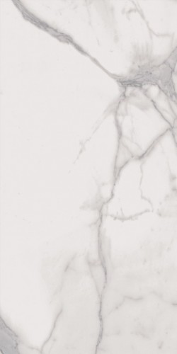 SUPREME ROYAL STATUARIO ANT 60x120