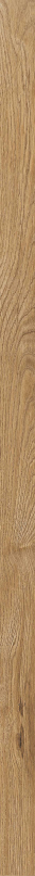 Four Seasons Listello Honey Nat R5x120