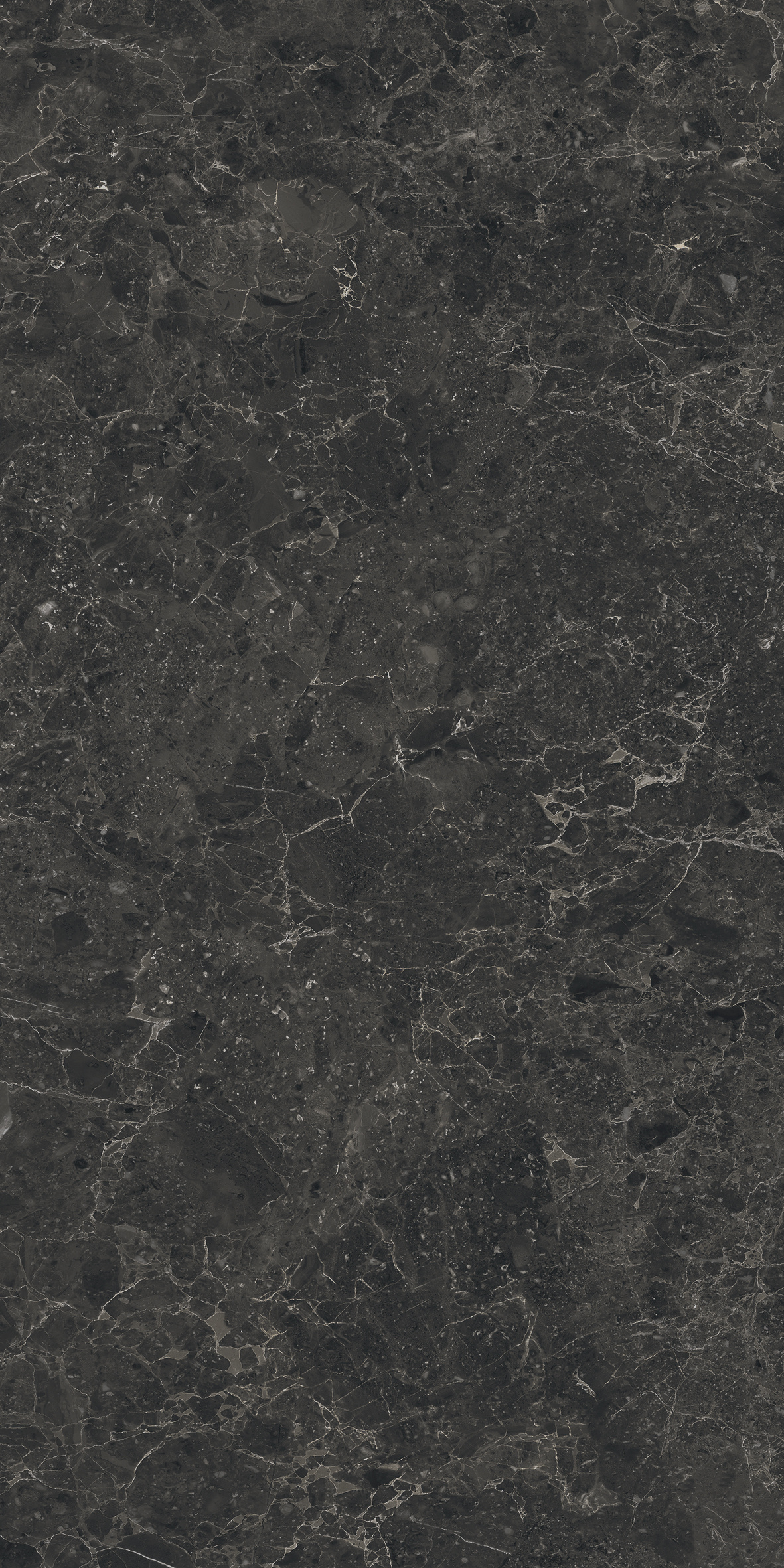 BELGIUM BLACK LAP/RET 60X120