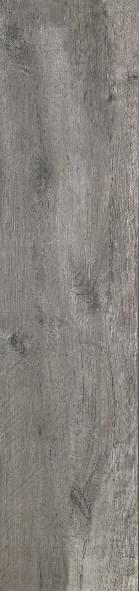 DAKOTA TORTORA RET 40X170