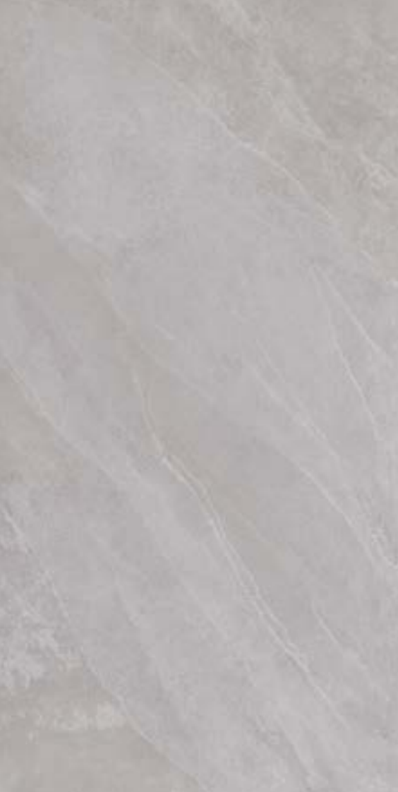 ARTDESIA 2.0 SILVER N/R 60X120