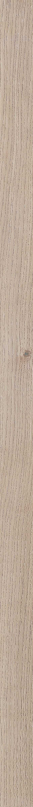 Four Seasons Listello Biscuit Nat R5x120