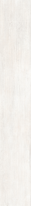 TWS WOOD BLANC NT RT 20X120