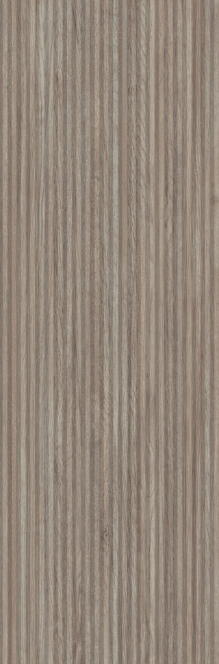 JACKSON TAUPE SP