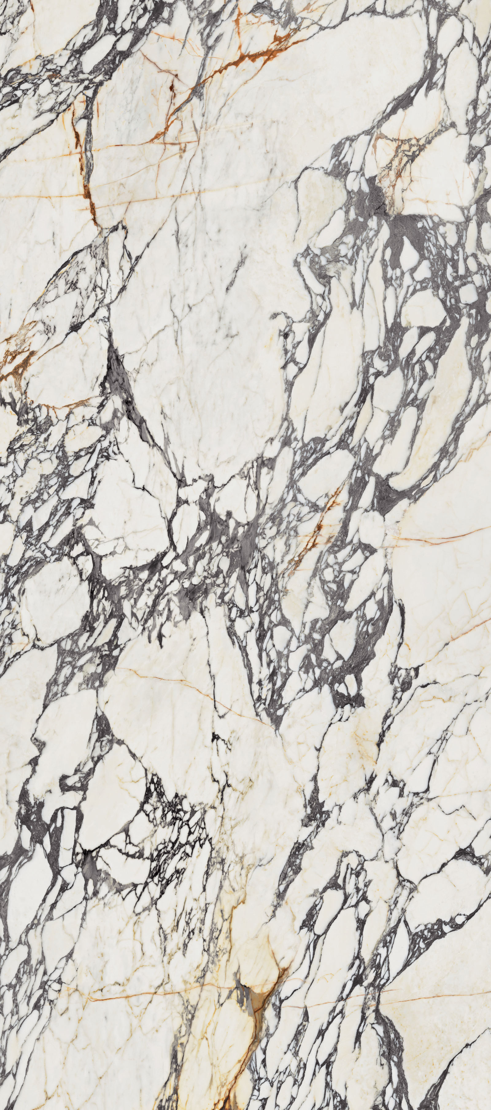 SUPREME TREASURE CORCHIA GOLD LUX 120X280
