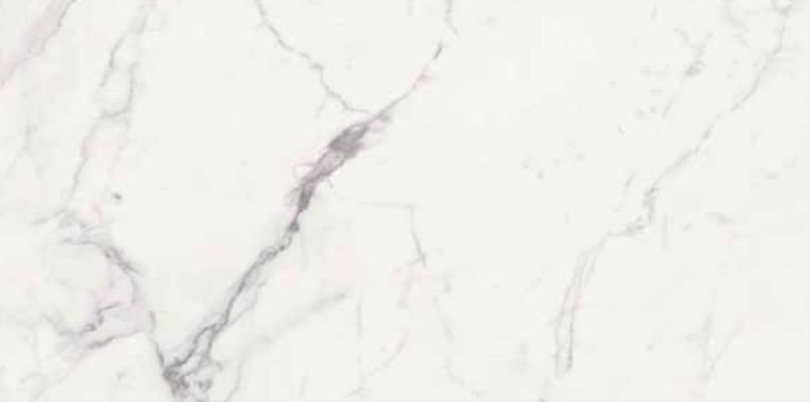 NOBILE STATUARIO LUX R 120X280