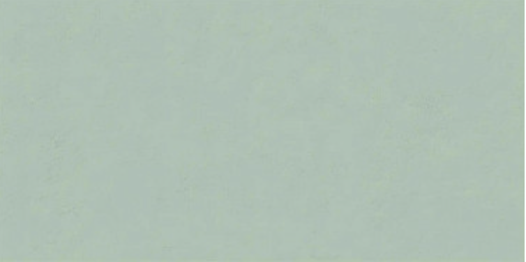 FLORALIA SAUGE NAT R60X120