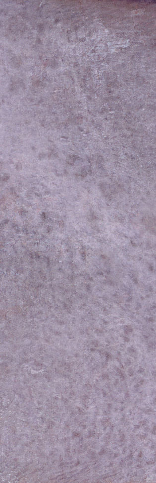 DYROY AUBERGINE