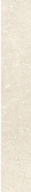 LISTONCINO COLOF.NAT/RET 10X60