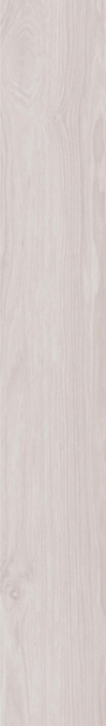 FLEUR DE BOIS BLANC N/R 20X120