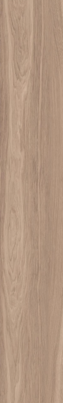 F.DE BOIS A.SLIP BEIGE N/R 20X120 