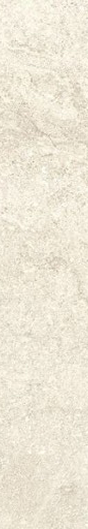 LISTONCINO COLOF.LAP/RET 10X60