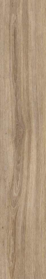 VERBIER TAUPE AS