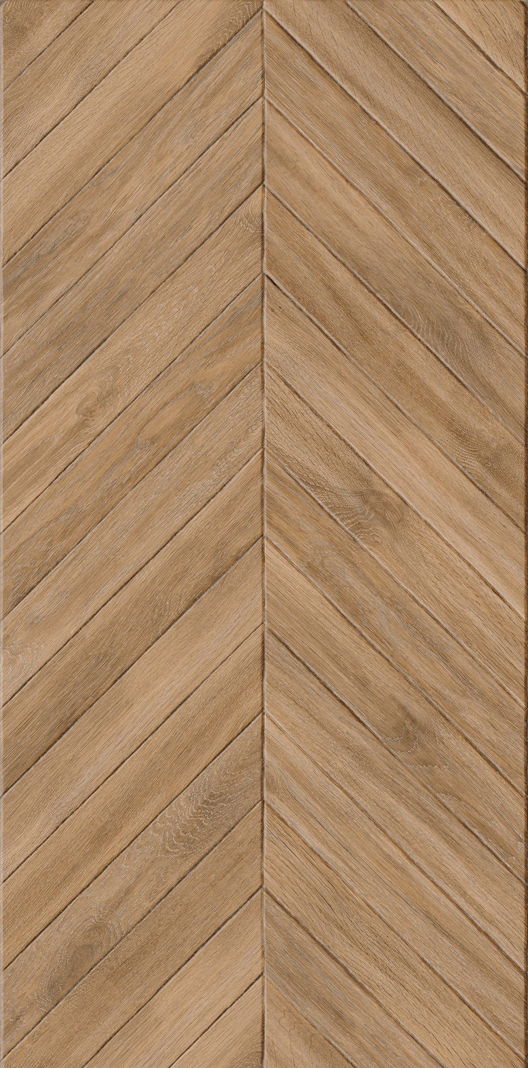 JANO SPIKE TERRA 60X120
