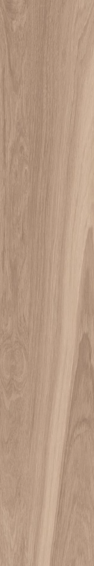 FLEUR DE BOIS BEIGE N/R 20X120