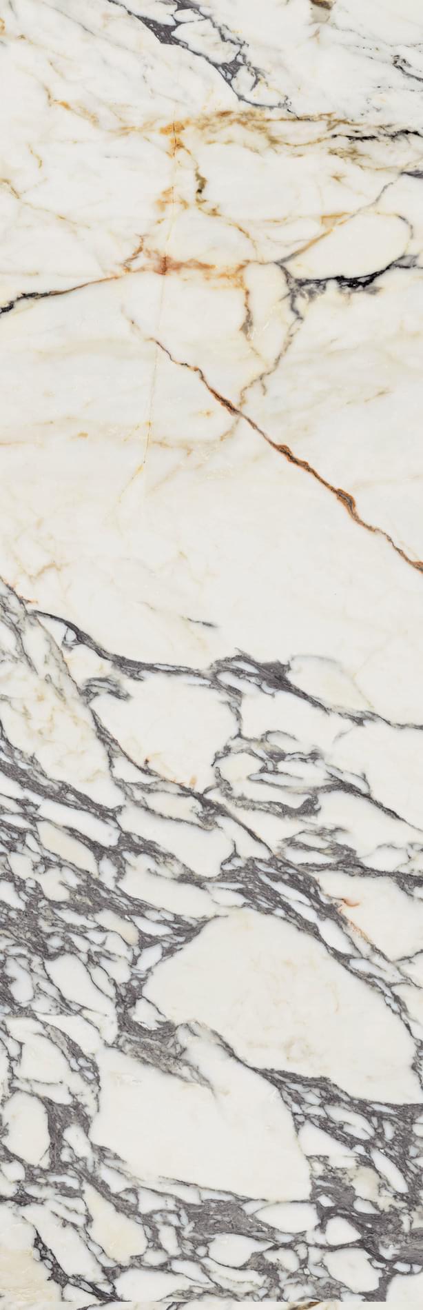 Supreme Treasure Corchia Gold LUX 40X120