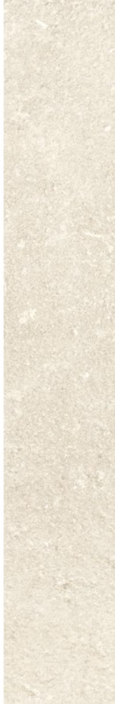 LISTONCINO COLOF.NAT/RET 10X60