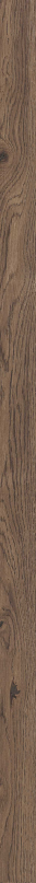 Four Seasons Listello Chocolate Nat R5x120
