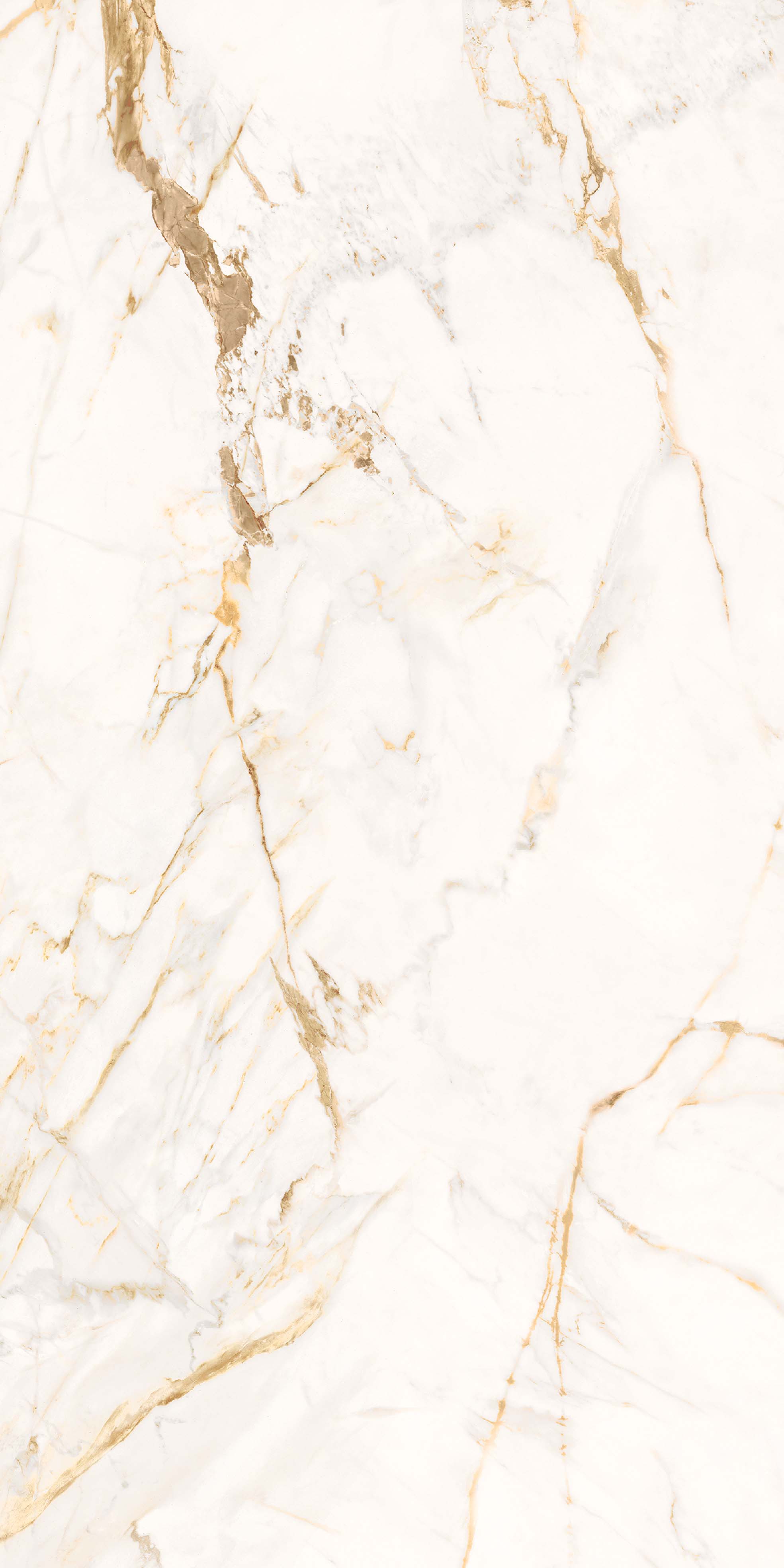 TWS CALACATTA ORO LX RT 59,6x119,2