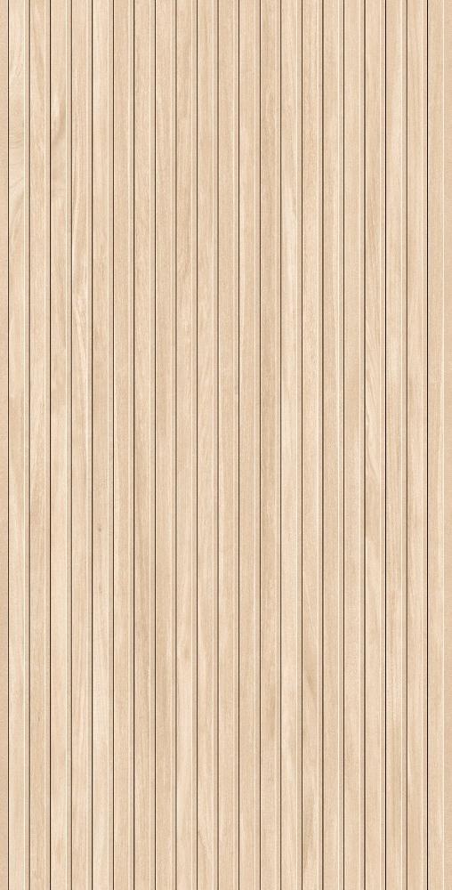 JANO RIBBON HAYA 60X120