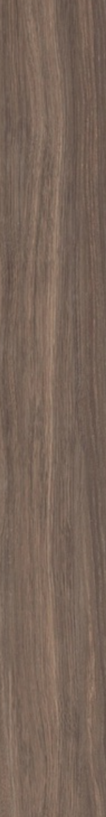 FLEUR DE BOIS BRUN N/R 20X120