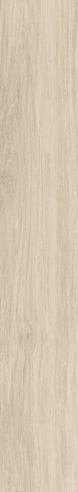 TAOS MAPLE