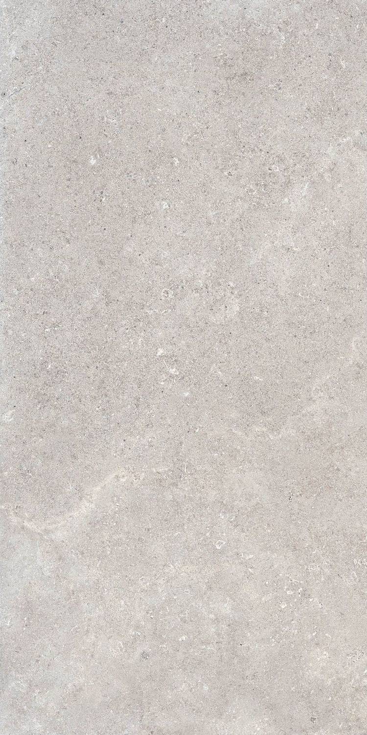 GRIS C2 GRIP R