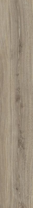 TAOS TAUPE
