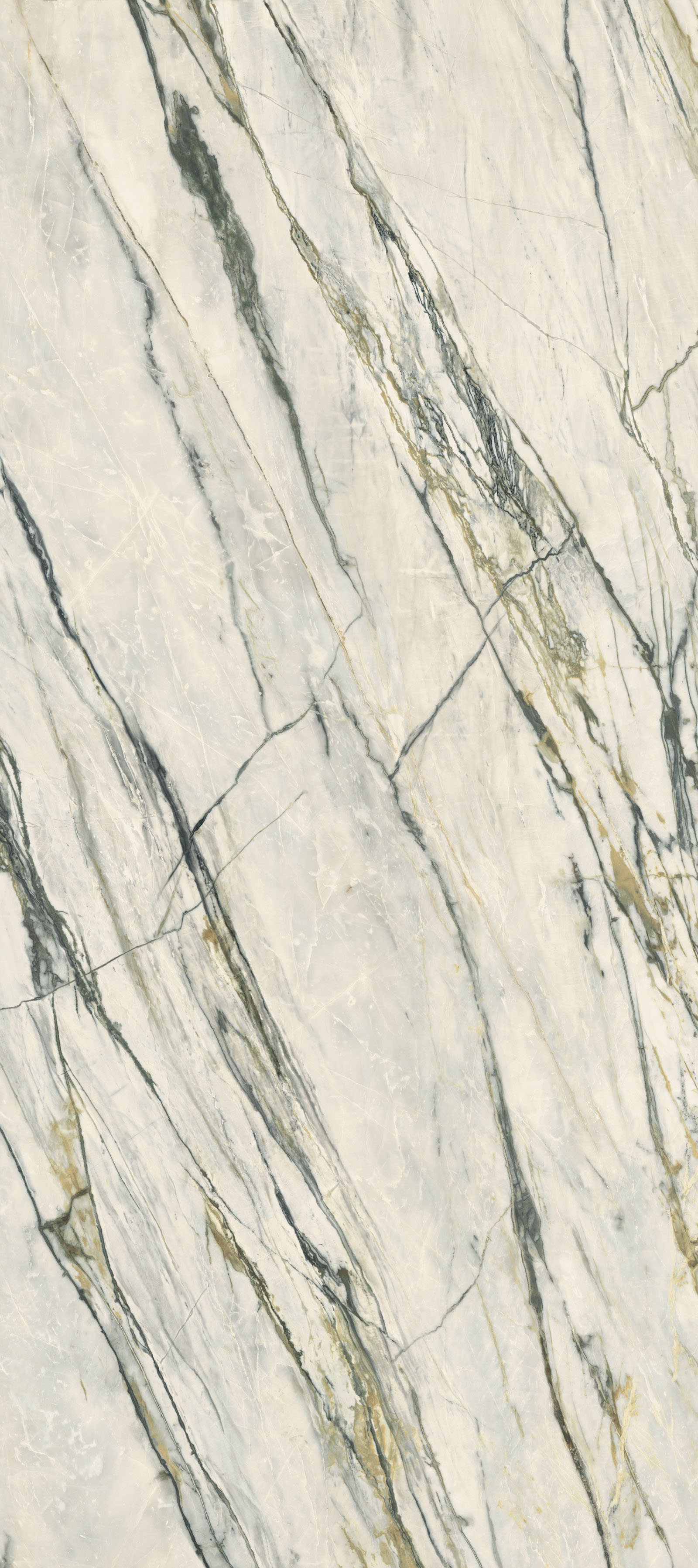 SUPREME TREASURE CALACATTA EMERALD LUX 120X280