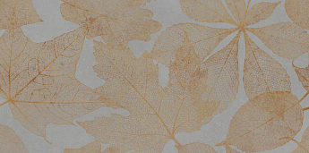 LEAF SPHERE NAT. RET. 60X120