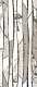 MAJESTIC PURE GROVE LEV/RET 60X120 (8.5 ММ)