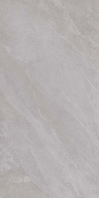 ARTDESIA 2.0 SILVER N/R 30X60