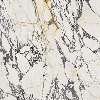 Supreme Treasure Corchia Gold LUX 120X120