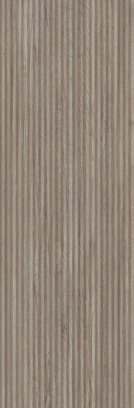 JACKSON TAUPE SP