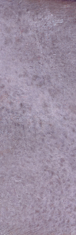 DYROY AUBERGINE