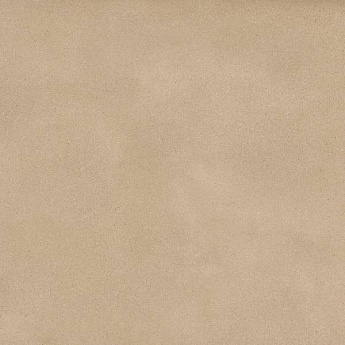 CAMEL MATT-PRO R
