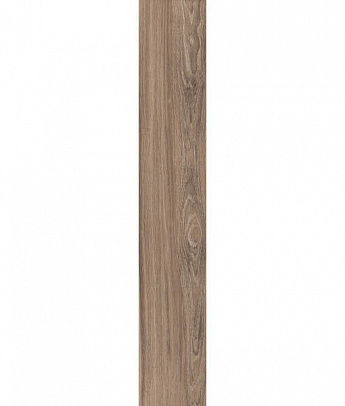 ZEN CAMEL RET 20x120