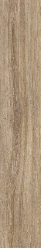 VERBIER TAUPE AS