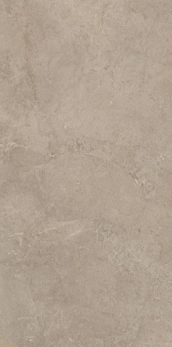 VECTOR MOLATO RETT 60X120