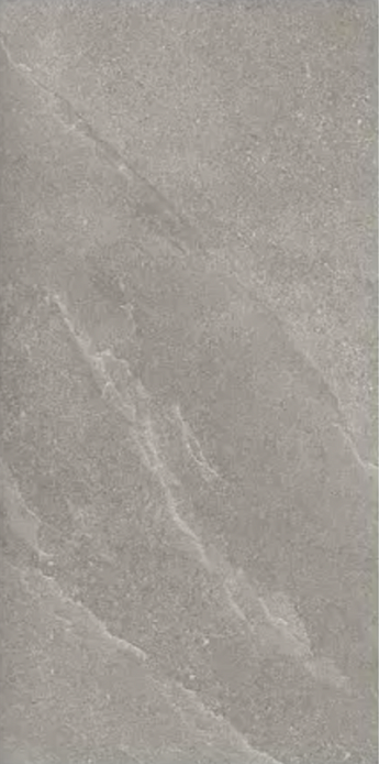 ARTDESIA SILVER ANTISLIP R 60X120