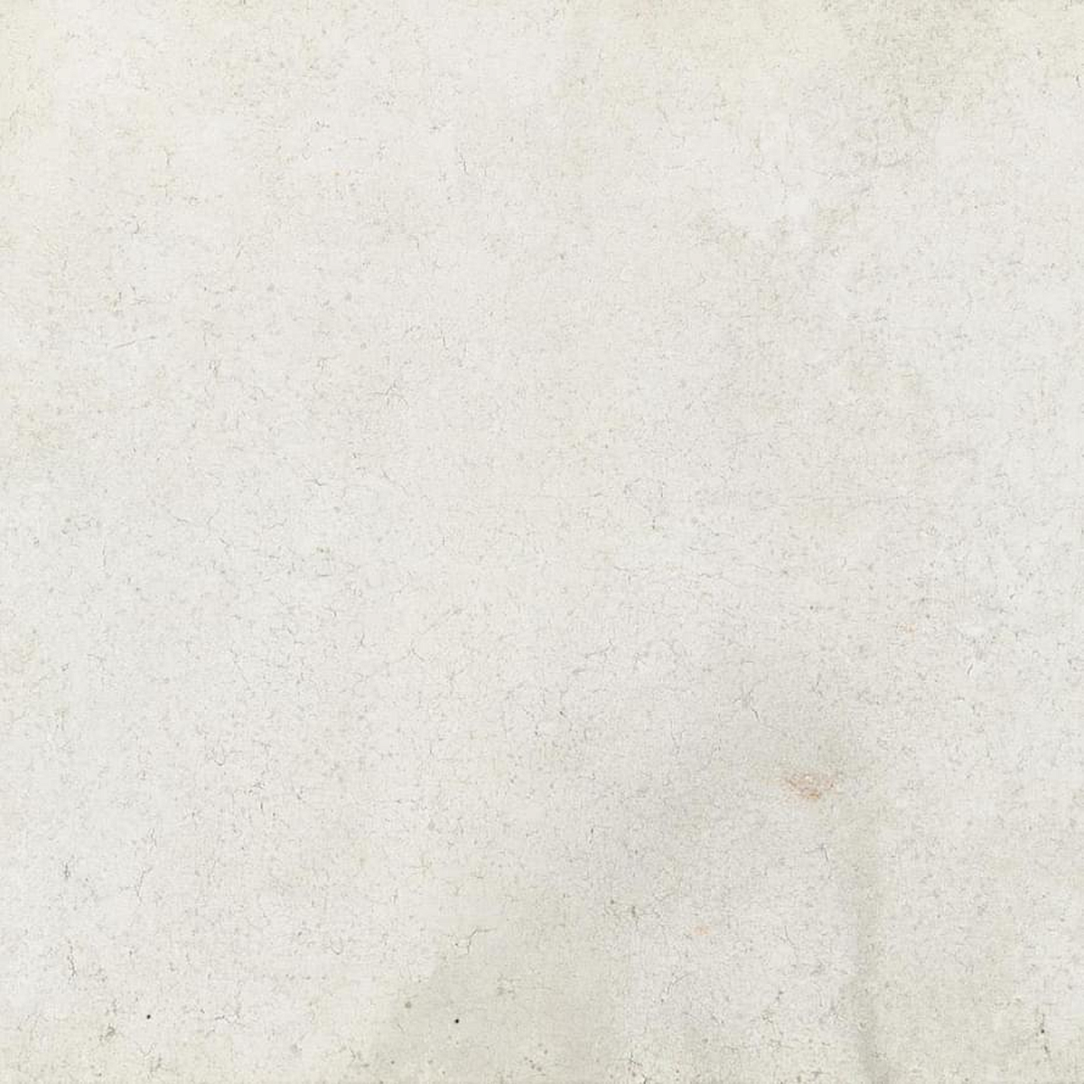 POWDER BONE NAT/RET 120X120