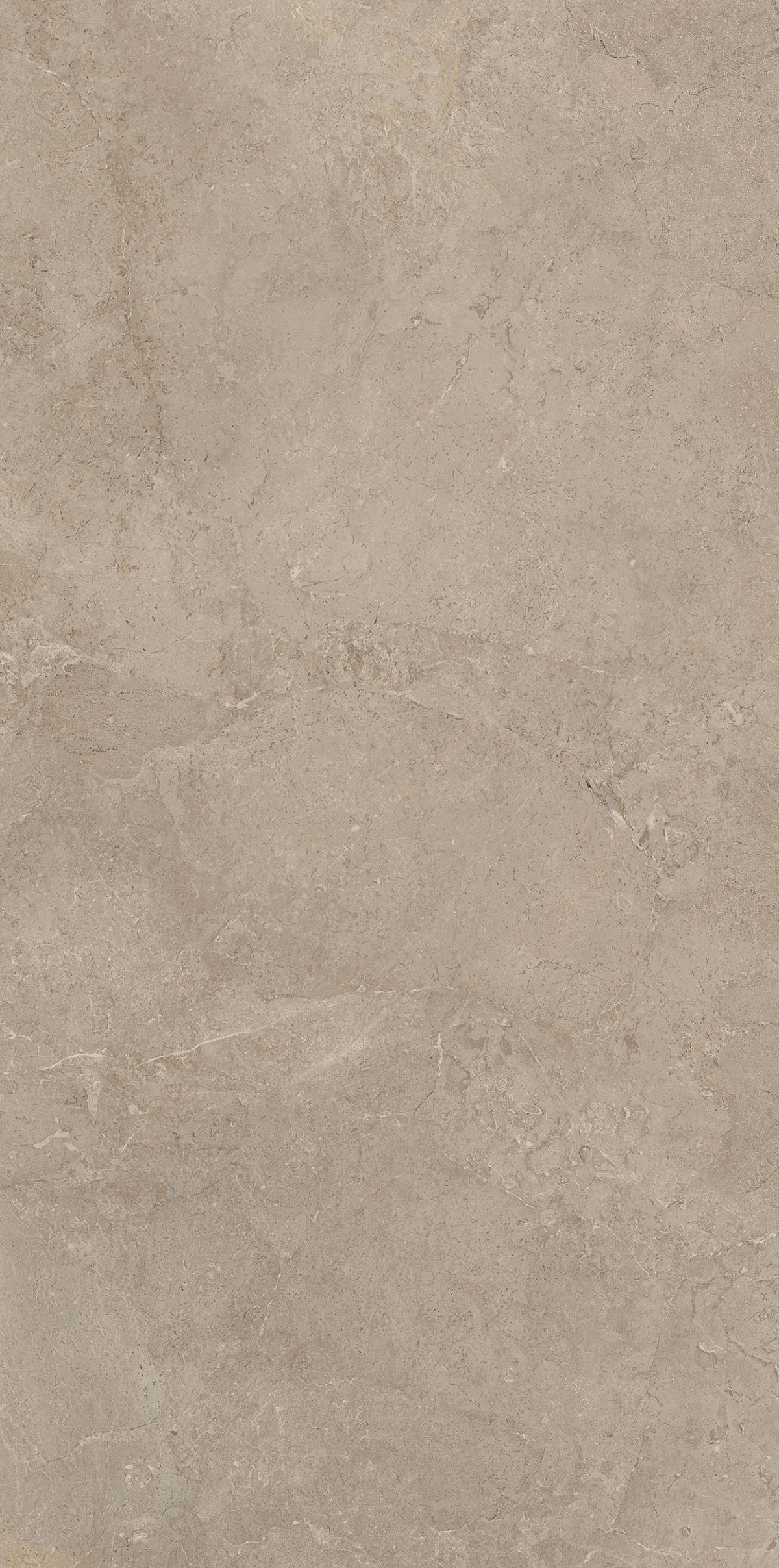 VECTOR MOLATO RETT 60X120