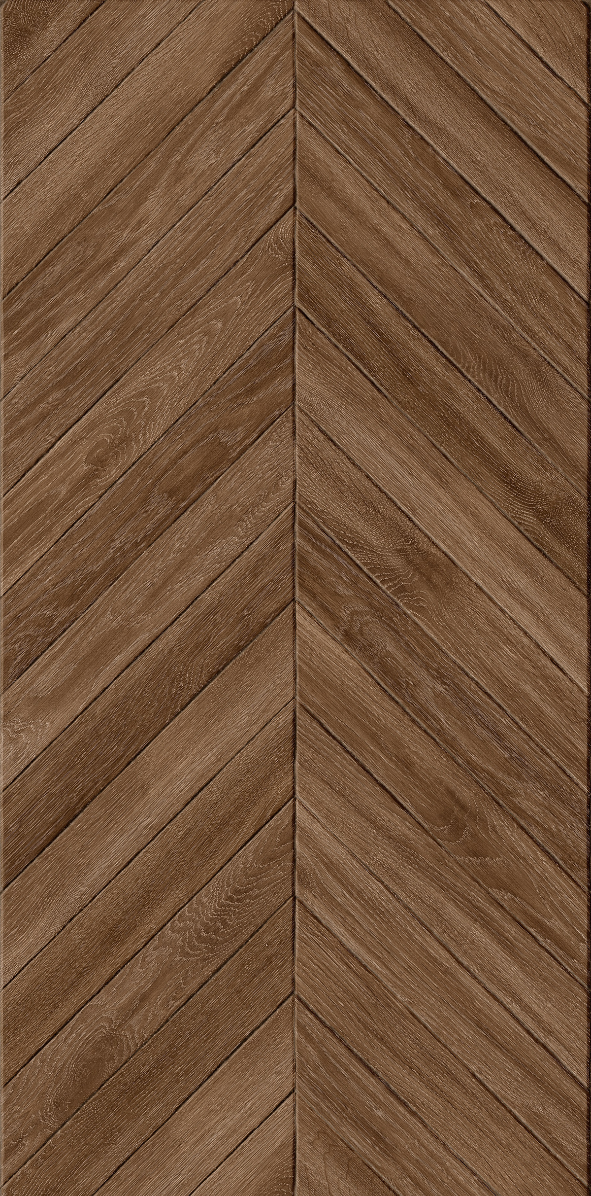JANO SPIKE NATURA 60X120